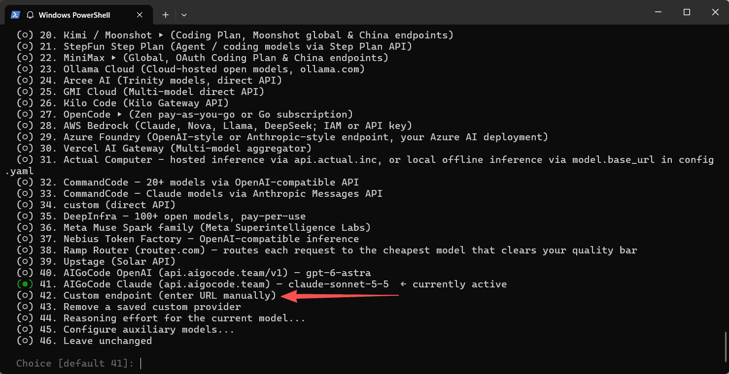 选择 Custom endpoint,配置 Claude 接入